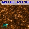OGLE BUL-SC37 234293