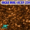 OGLE BUL-SC37 234298