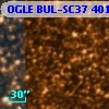 OGLE BUL-SC37 401078