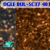 OGLE BUL-SC37 401077
