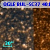 OGLE BUL-SC37 401154