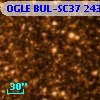 OGLE BUL-SC37 243261