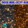 OGLE BUL-SC37 410521