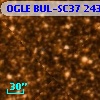 OGLE BUL-SC37 243290