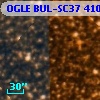 OGLE BUL-SC37 410490