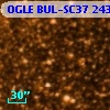 OGLE BUL-SC37 243229