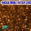 OGLE BUL-SC37 243479