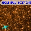 OGLE BUL-SC37 243341
