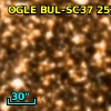 OGLE BUL-SC37 252906