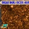 OGLE BUL-SC37 419930