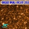 OGLE BUL-SC37 253022