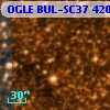 OGLE BUL-SC37 420030