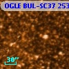 OGLE BUL-SC37 253040