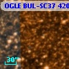 OGLE BUL-SC37 420056
