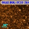 OGLE BUL-SC37 264079
