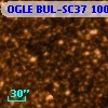 OGLE BUL-SC37 100460