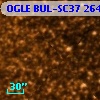 OGLE BUL-SC37 264165