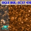 OGLE BUL-SC37 430832