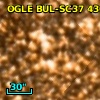 OGLE BUL-SC37 430881