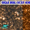 OGLE BUL-SC37 430791