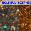 OGLE BUL-SC37 430841