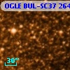 OGLE BUL-SC37 264100