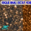 OGLE BUL-SC37 430855