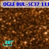 OGLE BUL-SC37 111479