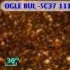 OGLE BUL-SC37 111483