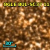 OGLE BUL-SC37 111482
