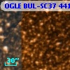 OGLE BUL-SC37 441746