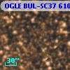 OGLE BUL-SC37 610640