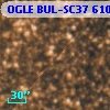 OGLE BUL-SC37 610646