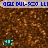 OGLE BUL-SC37 111500