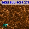 OGLE BUL-SC37 275746