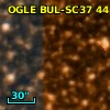 OGLE BUL-SC37 441760