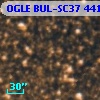 OGLE BUL-SC37 441758