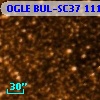OGLE BUL-SC37 111504