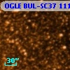 OGLE BUL-SC37 111594