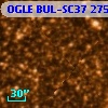OGLE BUL-SC37 275854