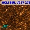 OGLE BUL-SC37 275868