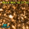 OGLE BUL-SC37 610778