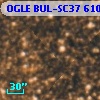 OGLE BUL-SC37 610680
