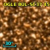 OGLE BUL-SC37 451554