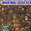 OGLE BUL-SC37 621449