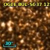 OGLE BUL-SC37 122995
