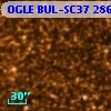 OGLE BUL-SC37 286193