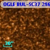 OGLE BUL-SC37 286112