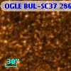 OGLE BUL-SC37 286116