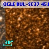 OGLE BUL-SC37 451650